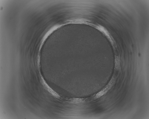 X0000085041424200703261300