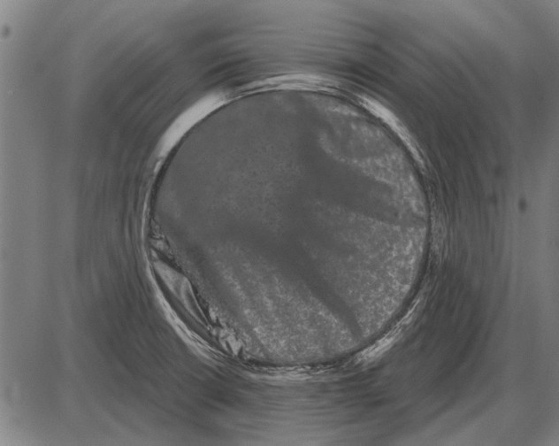 X0000085041426200703261300