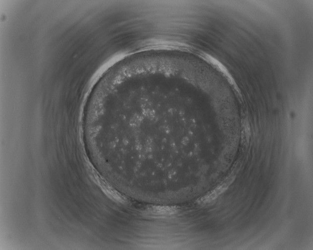 X0000085041427200703261300