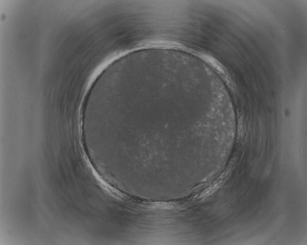 X0000085041430200703261300