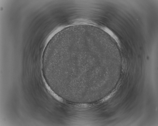 X0000085041431200703261300