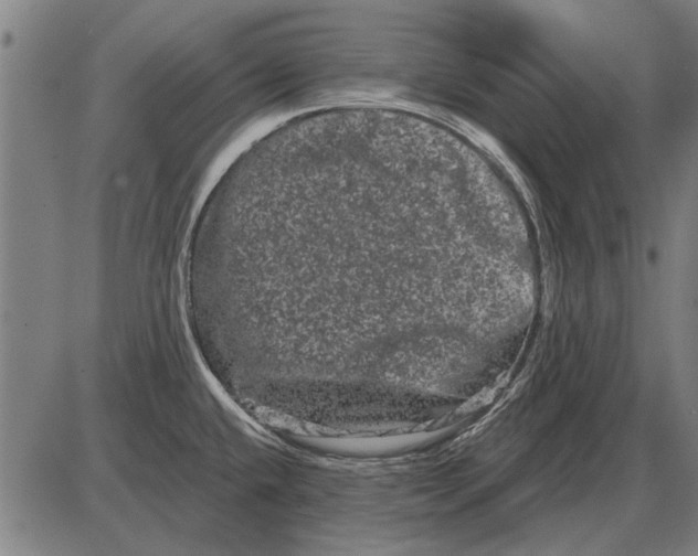 X0000085041432200703261300