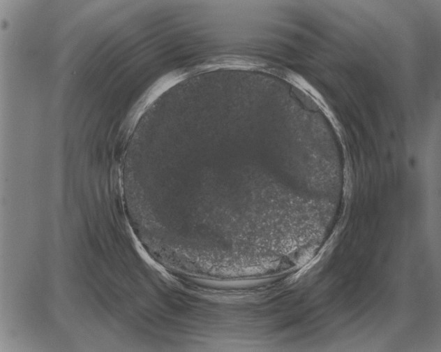 X0000085041433200703261300