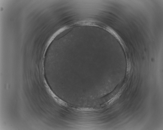 X0000085041434200703261300