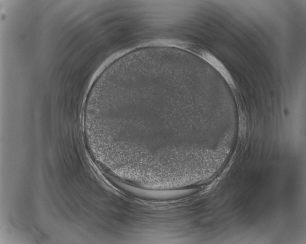 X0000085041436200703261300