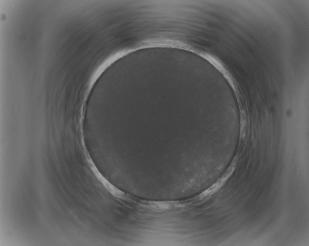 X0000085041438200703261300