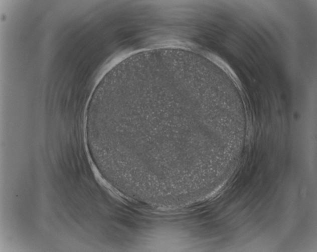 X0000085041439200703261300