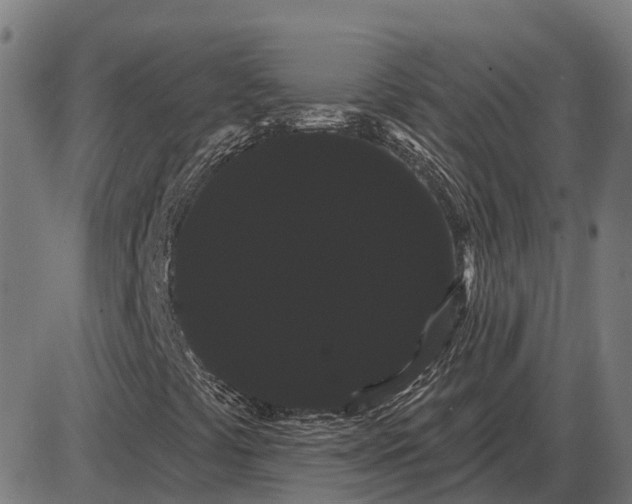 X0000085041441200703261300