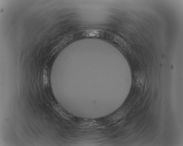 X0000085041442200703261300