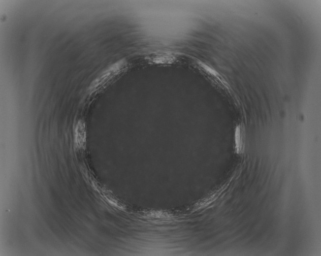 X0000085041443200703261300