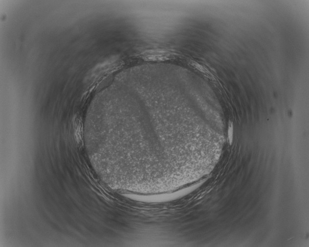 X0000085041444200703261300