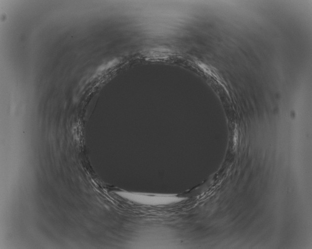 X0000085041445200703261300