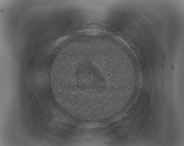 X0000085041446200703261300