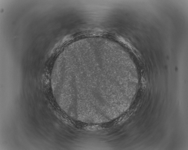 X0000085041447200703261259