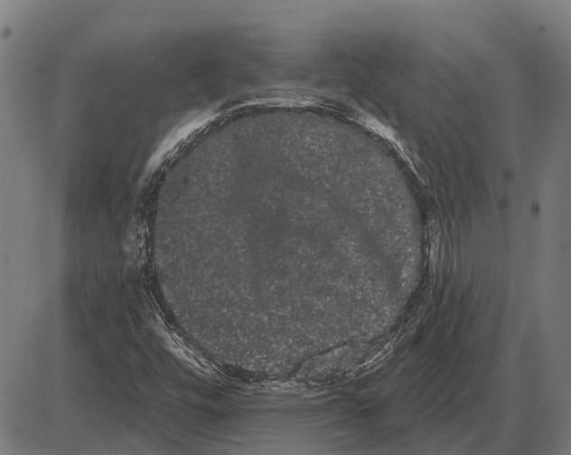 X0000085041448200703261259