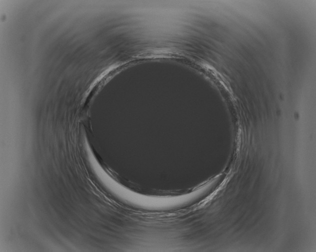 X0000085041449200703261259