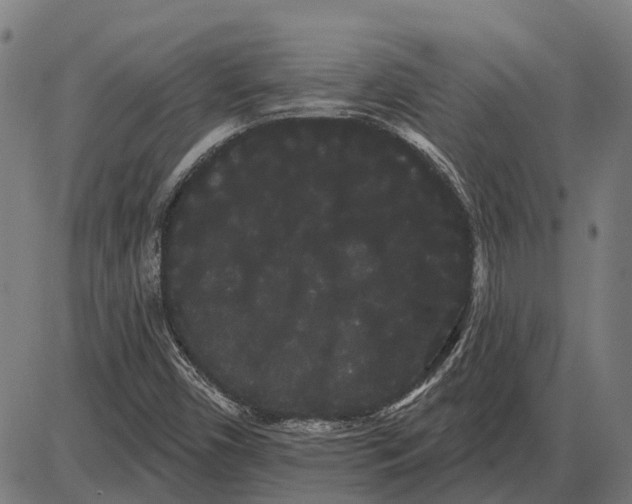 X0000085041450200703261259