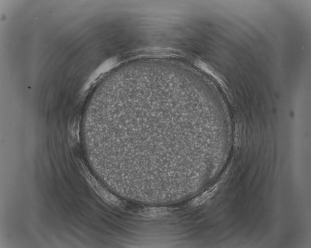 X0000085041451200703261259