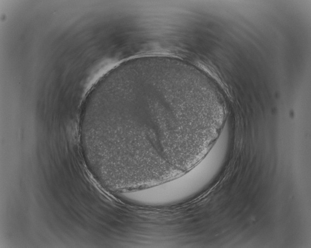 X0000085041452200703261259