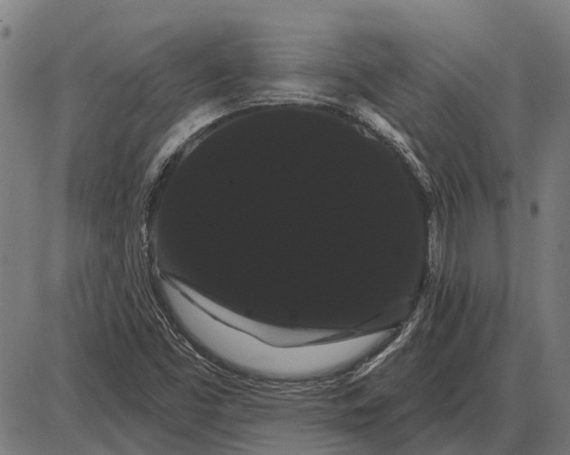 X0000085041453200703261259