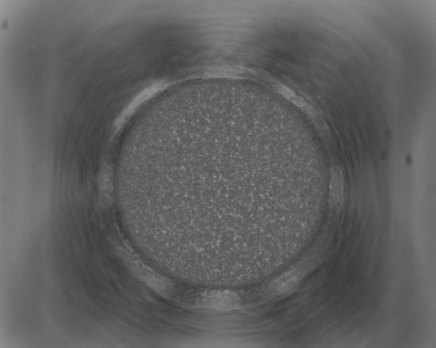 X0000085041454200703261259