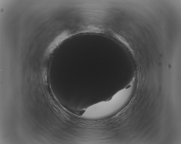 X0000085041455200703261259