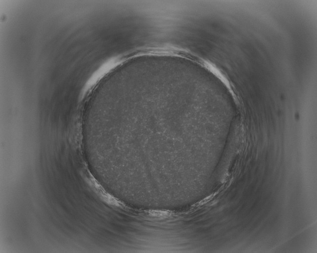 X0000085041456200703261259