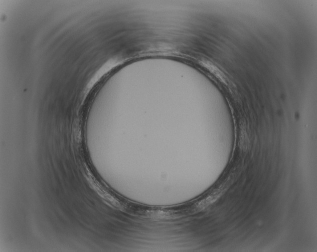 X0000085041458200703261259