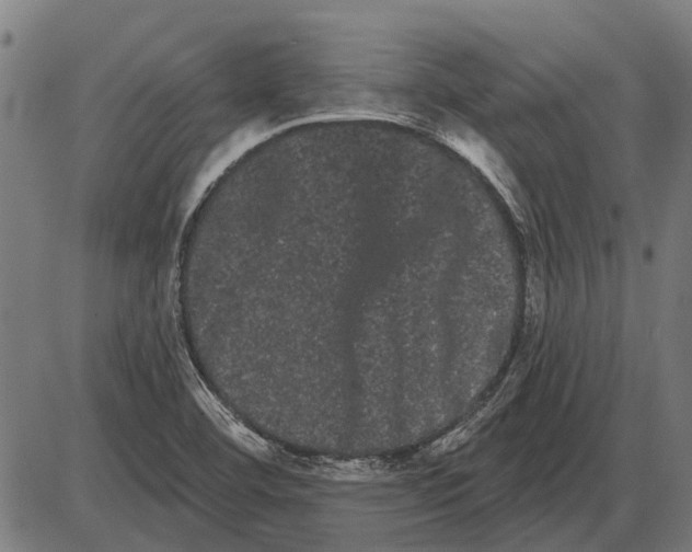 X0000085041460200703261259