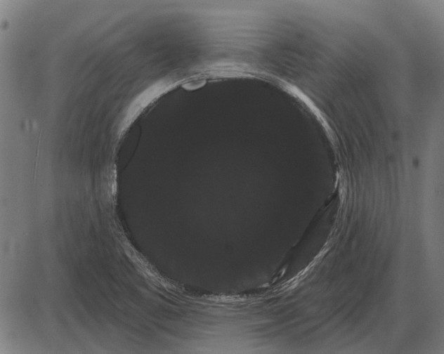 X0000085041461200703261259