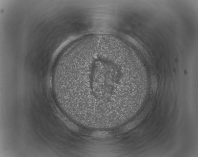 X0000085041462200703261259