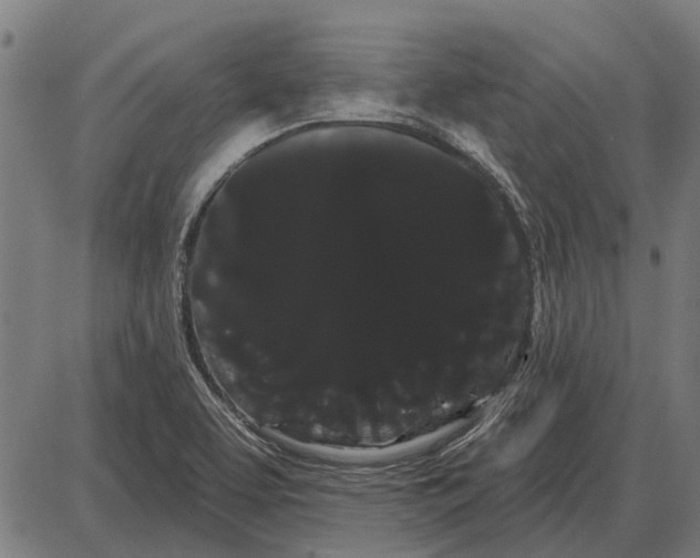 X0000085041463200703261259