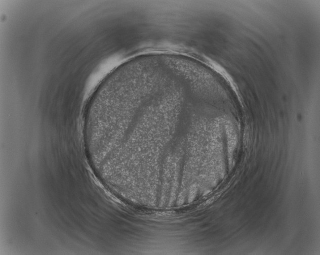 X0000085041464200703261259