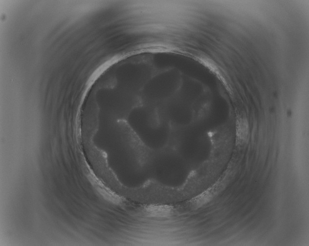 X0000085041466200703261259