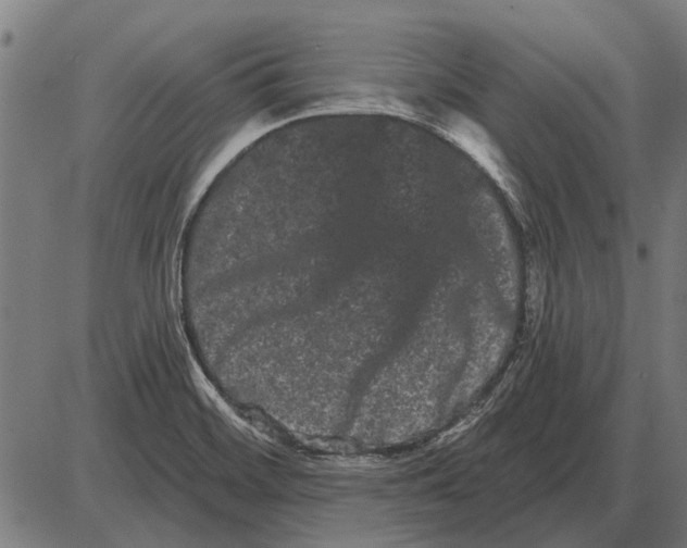 X0000085041468200703261259