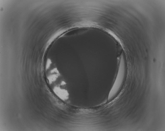 X0000085041469200703261259