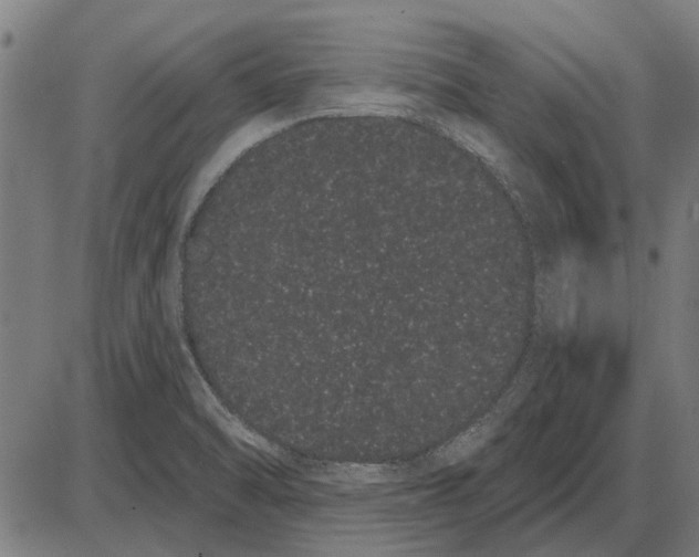 X0000085041470200703261259