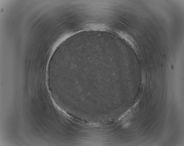 X0000085041471200703261259