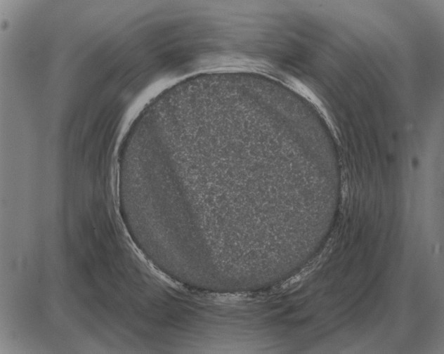 X0000085041472200703261259