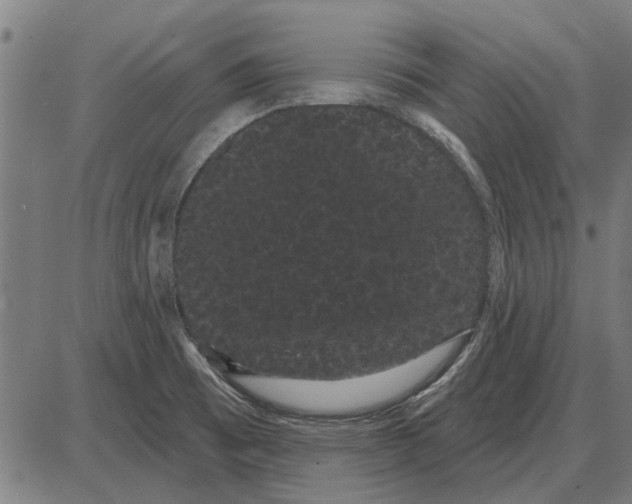 X0000085041473200703261259