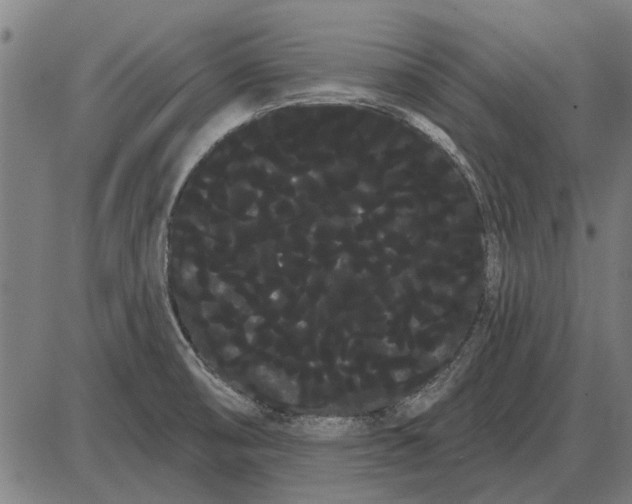 X0000085041474200703261259