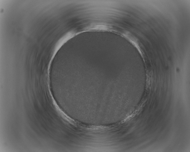 X0000085041475200703261259