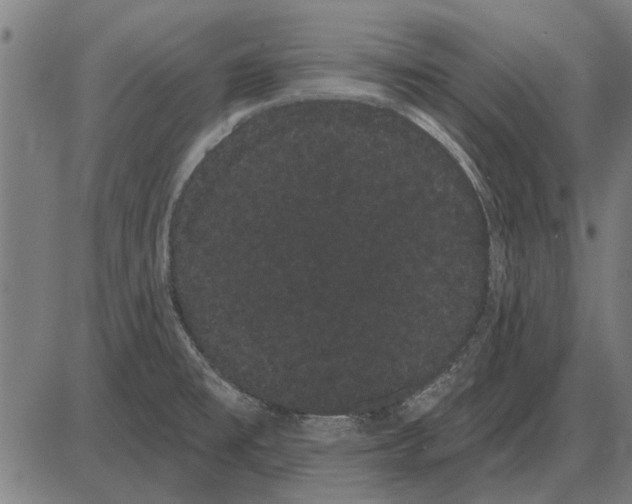 X0000085041477200703261259