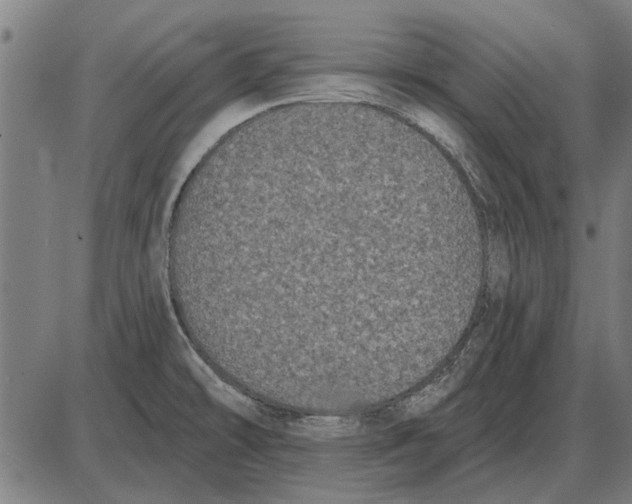 X0000085041478200703261259