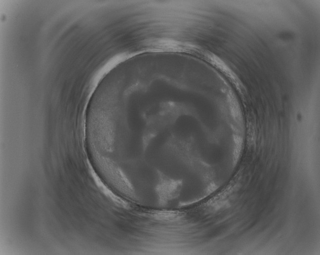 X0000085041479200703261259