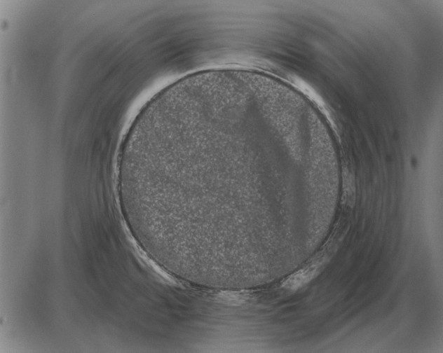 X0000085041480200703261259