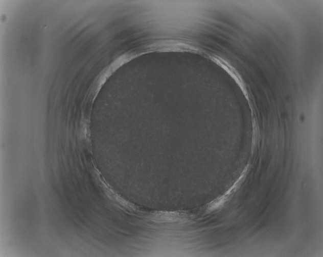 X0000085041481200703261259