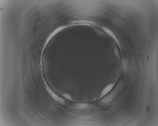 X0000085041482200703261259