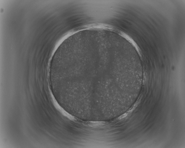 X0000085041483200703261259