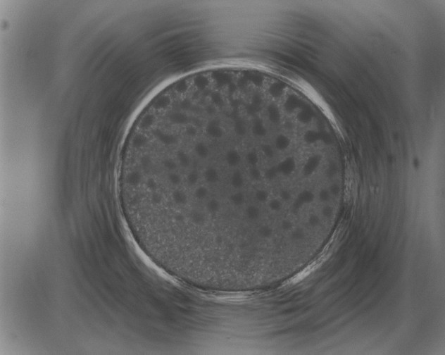 X0000085041484200703261259